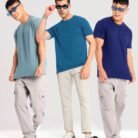 pick_any_4_plain_t-shirt_combo_inner_view_model2_02_01_2025_700x933